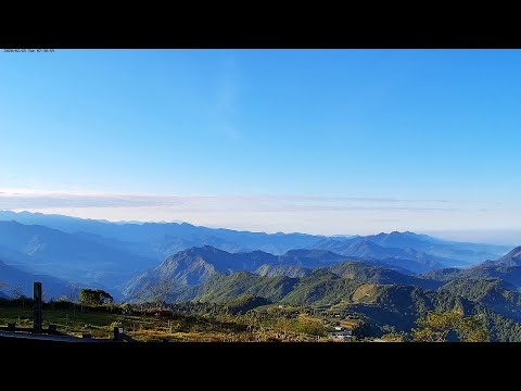 阿里山即時影像-二延平步道-縮時 | Eryanping Trail Timelapse in Alishan, Taiwan