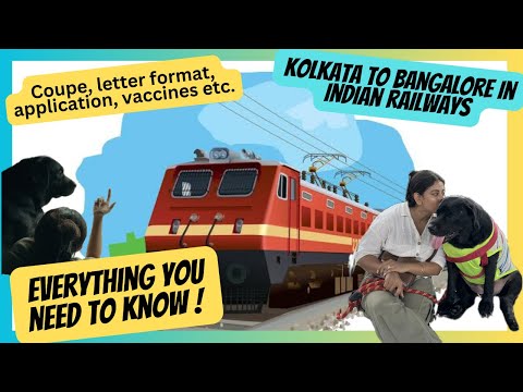 How to travel with a dog in train! Travel with pet in Indian railways 🚆 🐶 #travel