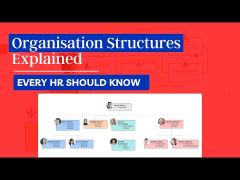 Organisation Structures Explained - Functional, Divisional, Flat, Matrix & Network Structures