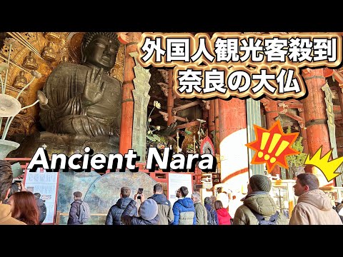 Giant Buddha in Todaiji Temple, Nara Historical Site in Japan 奈良の大仏 東大寺