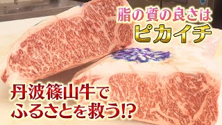 丹波篠山３兄弟　コロナで大打撃のふるさとを地元グルメで救う？【ふるさと納税】