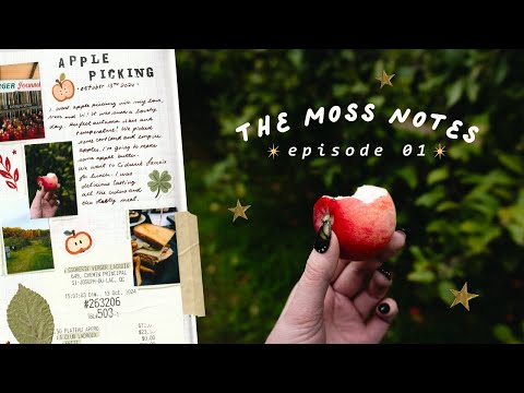 the moss notes ✹ episode 01 ✹ october vlog & journaling in my tn and planner