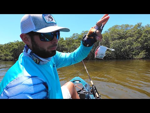 Fishing Cut Bait for Snook & Redfish Along Mangrove Shorelines