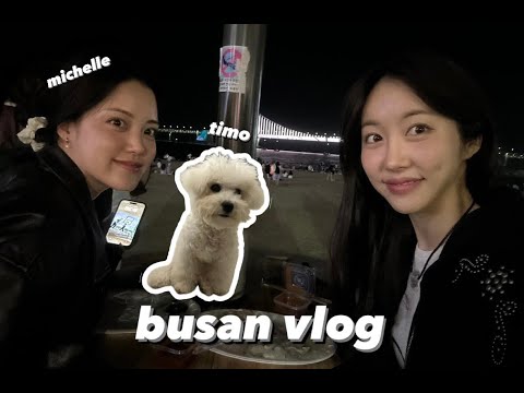 유기견 입양 브이로그🐾 입양후 첫 부산여행 ft. Michelle