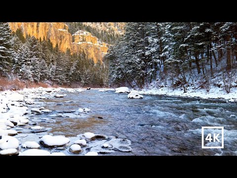 4K Snowy River Rapids | Winter Nature Scene | Nature Sounds for Sleep & Study | White Noise