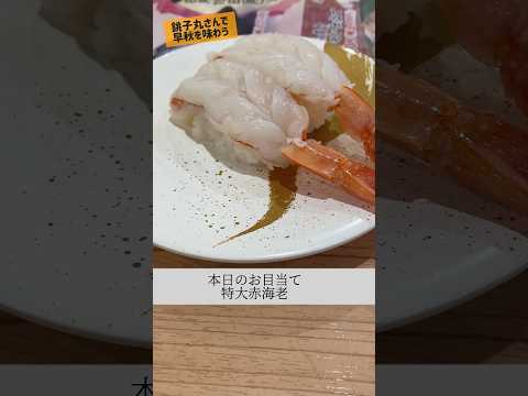 きょうのお昼ご飯(すし銚子丸さん 早秋の旬ネタ) #shorts #グルメ #寿司 #ランチ