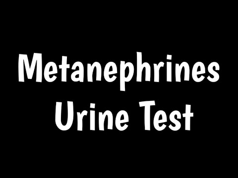 Metanephrines Urine Test | 24 hr Urine Test |