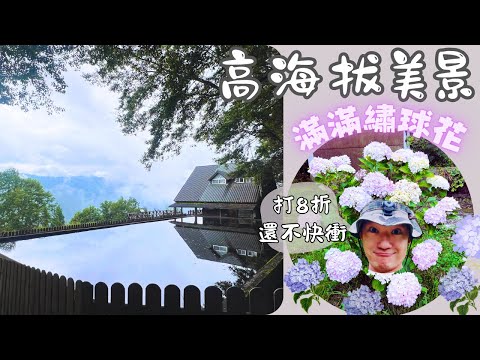 哲遊記Camping  ❤︎ 第37露｜2000海拔大山大景繡球花｜武陵61週年慶打八折快來｜雪山登山口限定冰淇淋一定要來吃啊｜캠핑｜キャンプ｜camping ｜武陵農場露營區