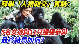 蘇聯「人猿雜交」實驗：5名女孩與11只猩猩參與，最終結局如何？【奇聞異評】#奇聞異事#新聞#好奇零零漆#聽村長說官方頻道#人間易拉罐#seeker牛探長#談笑娛生#叉雞#宇宙大熱門#新聞