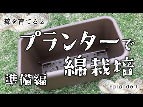 プランターで綿栽培 〜準備編〜／綿を育てる season2 ep.1