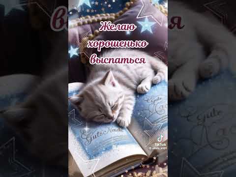 #tiktokvideo🎞️ #добройночисладкихснов🌌 #Kindandsweetdreams🌃