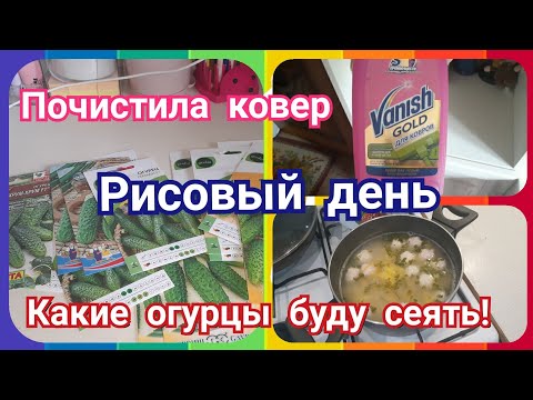 Рисовый день! Плохая погода! Завтрак, обед и ужин!