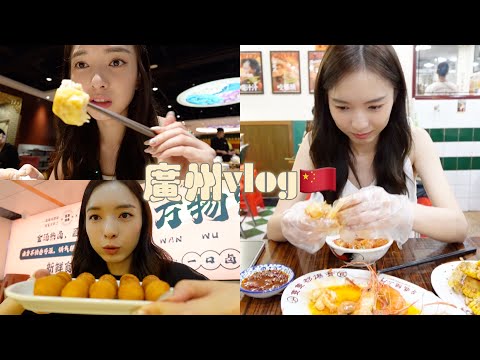 广州vlog 是个美食天地！黑白大厨上身 吃遍广州所有美食～  | AlenStephy