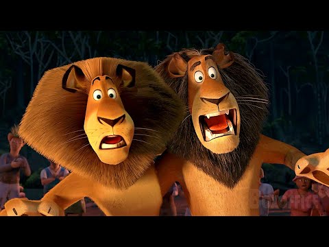 Diese Menschen wollen Löwen essen! | Madagascar 2 | German Deutsch Clip