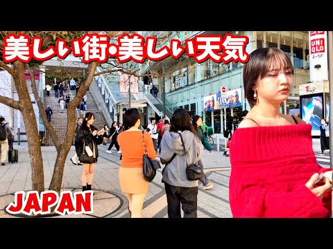 [4K] 新宿東京：Shinjuku City, Scenic Walking Tour || Japan 2024 ||