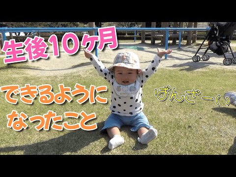 【生後10ヶ月】出来るようになった１５の事！