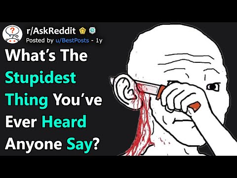 What's The Stupidest Thing You've Ever Heard Anyone Say? (r/AskReddit)