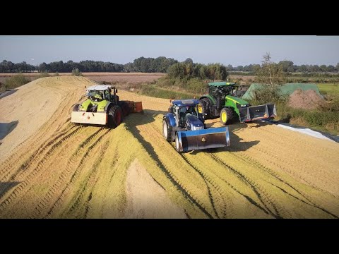 Maishäckseln 2021 mit dem Lohnunternehmen Peterberns im südlichen Emsland