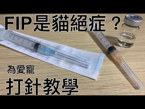 打針教學｜ FIP貓傳染性腹膜炎｜注射441針藥｜請先諮詢獸醫師｜7仔遺愛｜廣東話｜中文字幕｜How to give your cat subcutaneous fluids by yourself