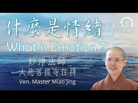 什麼是情緒 | 加拿大大悲菩提寺 住持妙淨法師 |  What is Emotion | Ven. Master Miao Jing