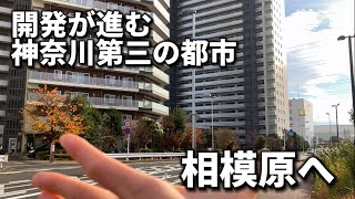 開発が進む橋本。。。住みたい街ランキング上位の相模原を歩こう【郊外散策ドキュメンタリー】