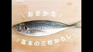 【魚のきほん】おさかな 基本の三枚おろし