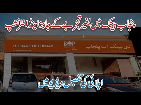 How to Online Apply for Bank of Punjab Jobs 2024 -  Latest Bank of Punjab Jobs 2024 - Bank Jobs 2024