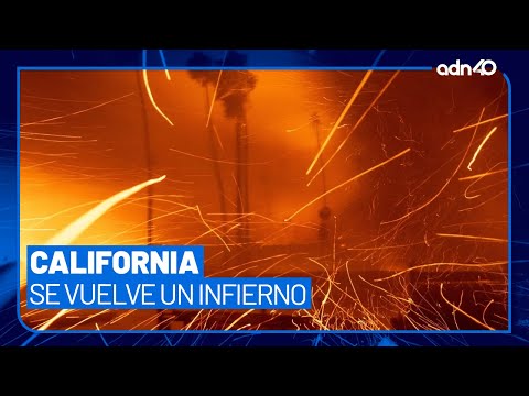 Por esta razón siempre hay incendios forestales en California, Estados Unidos