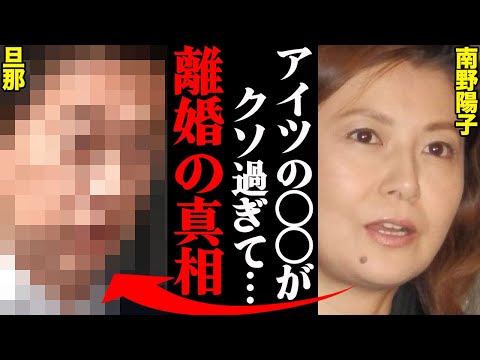 南野陽子、旦那との離婚理由がヤバすぎた！？「アイツの〇〇には耐えれなかった…」