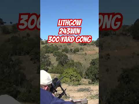 Lithgow LA102 243win @ 300 yard gong #ozziereviews #shooting #rifle #gun #lithgow #243 #firearms