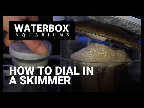 How To Dial In a Skimmer For Best Performance