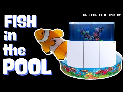 Unboxing My New Saltwater Aquarium! The Nyos Opus 440 | I Put My Fish In A Paddling Pool