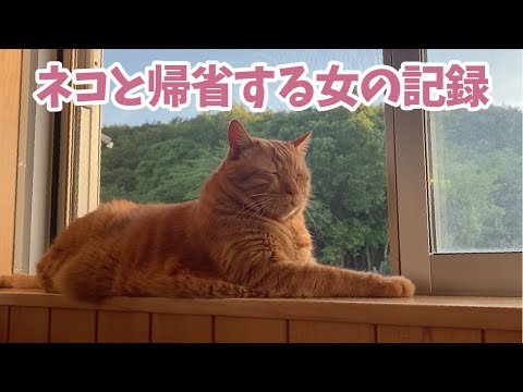 【ネコ】帰省の記録を残そうとしたら猫動画になりました【vlog】