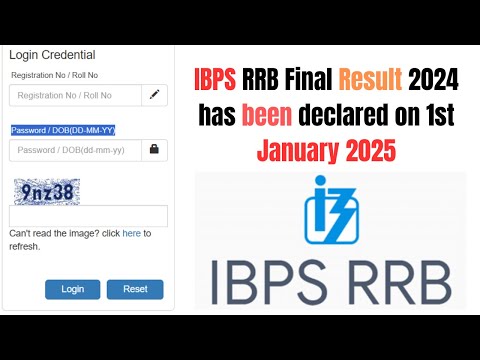 IBPS RRB Final Result 2024 Declared – Check Results for PO, Clerk, Officer Scale 2 & 3