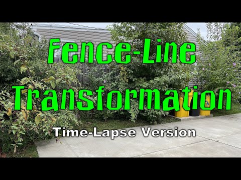 Overgrown Fence-line Cleanup Transformation (20090201)