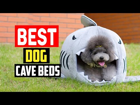 ✅Top 5 Best Dog Cave Beds in 2023