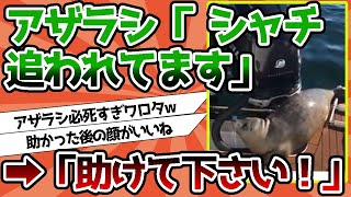 【2ch動物スレ】アザラシ「助けて下さい！ シャチに追われてるんです！」