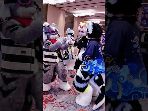 #Dancin at #furry furryfucon part 2 #sturdy #viral_video #furrytiktok #fypシ゚viral #fursuit