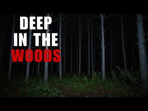 8 Disturbing Deep Woods Horror Stories | Scary Deep Woods Stories | Scary Stories | With Rain Sounds