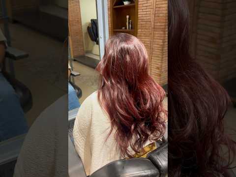 Burgundy hair color Kaise Kare #hairhouse #shahrukhairhouse #burgundy #redhaircolor #red #loreal