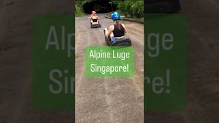 Have you try this ride in Sentosa Island? | Skyline Luge Singapore 🇸🇬