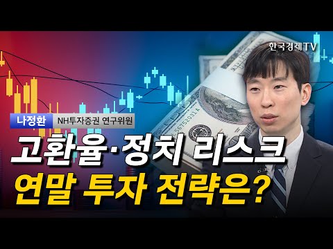 고환율·정치 리스크연말 투자 전략은? ㅣ나정환ㅣ증시 전망ㅣ미국 경기ㅣ트럼프 정책ㅣ원달러 환율ㅣAI 반도체ㅣ