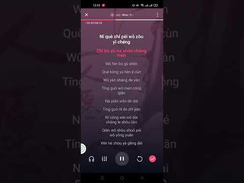 Nhất nhân nguyện - Thẩm Vũ Huyên || 一人願 [沈雨萱] Karaoke Pinyin