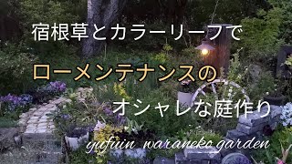 宿根草とカラーリーフでローメンテナンスのオシャレな庭作り　時には立ち止まって･･･Creating a beautiful garden with flowers and leaves