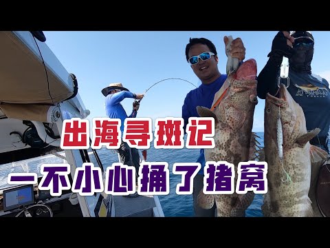 普吉岛慢摇铁板钓石斑鱼，大个体石斑鱼很多，很过瘾。Slow pitch jigging to fish groupers at Phuket, Thailand with Seajay fishing