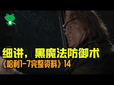 【細品哈利14】深度解析：魔法世界中 咒语的分类