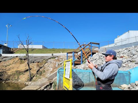 Fishing a STEAM PLANT After FRIGID COLD FRONT!! (Hot Water Discharge)