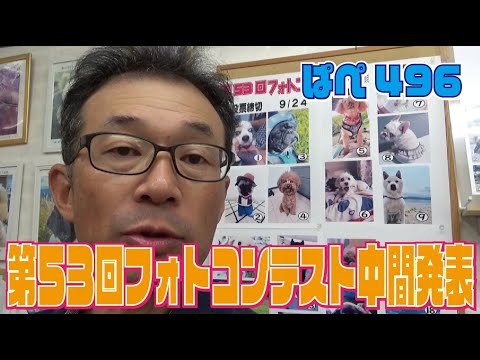 第53回フォトコンテスト中間発表～ぱぺ496