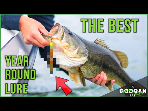 The BEST YEAR ROUND FISHING LURE Every FISHERMAN SHOULD HAVE! ( FISHING TIPS )