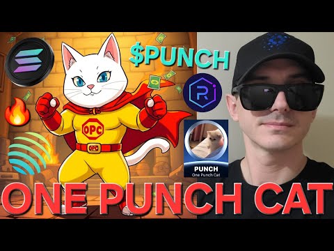 $PUNCH - ONE PUNCH CAT TOKEN CRYPTO COIN HOW TO BUY MEXC GLOBAL SOLANA SOL RAYDIUM JUPITER MEMECOIN